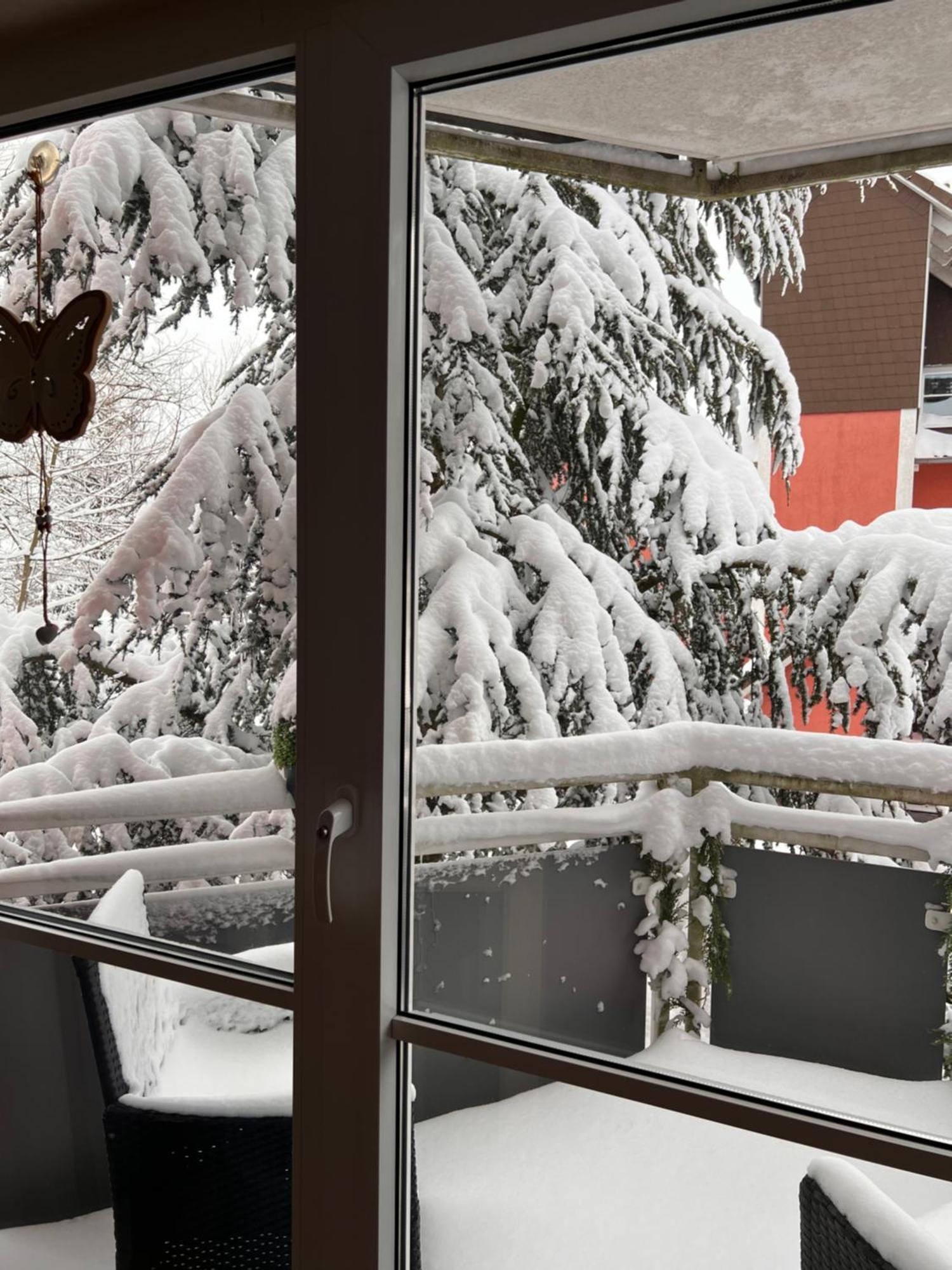 Ferienwohnung Harz-Rose Braunlage Exterior foto